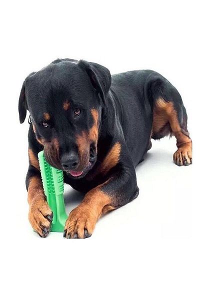 jetfast 9.5 cm Green Hard Dog Teeth Cleaning Biting Brush Apparatus Mouthguard Small Size