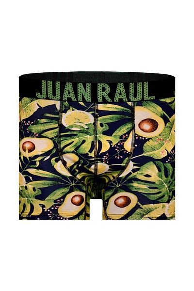 Juan Raul Tropical Avocado Patterned Men's Boxers - Db224