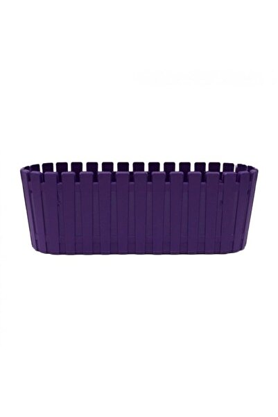 PetGrow Plastik Akasya Kaktüs Triple Saksı-5,5