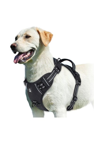 Choice M Black No Pull Dog Harness, Adjustable Soft Padded Pet Vest With Easy Control Handle