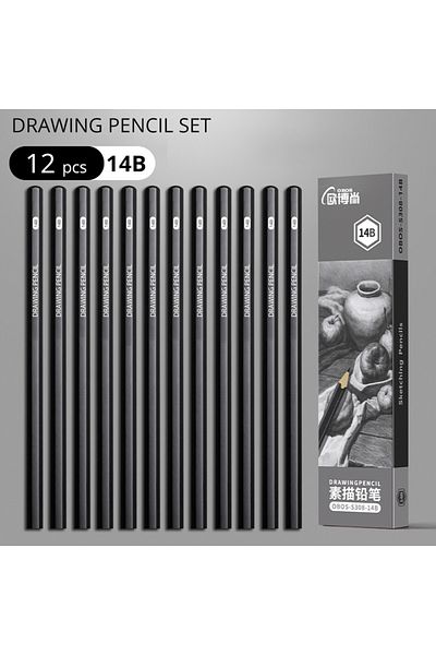Choice 12PCS 14B Professional 2H HB B 2B 3B 4B 6B 8B 12B 14B Sketch Drawing Graphite Charcoal Pencils Set D
