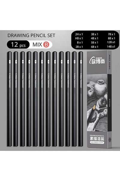 Choice 12PCS MIX B Professional 2H HB B 2B 3B 4B 6B 8B 12B 14B Sketch Drawing Graphite Charcoal Pencils Set
