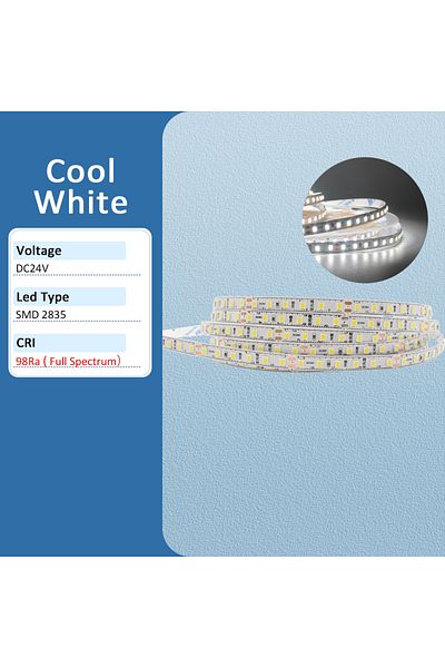 MJJC 10m Cool White Ra98 Full Spectrum Led Strip Light 24v 10m 5m Smd2835 120leds Flexible Led Tape Ribbo