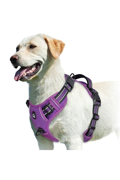 Choice S Purple No Pull Dog Harness, Adjustable Soft Padded Pet Vest With Easy Control Handle