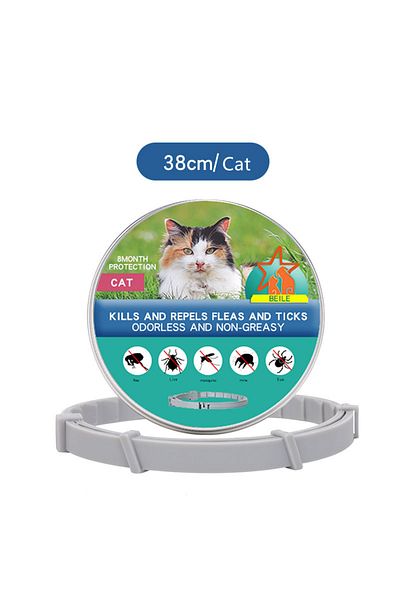 Choice Cat-38cm Box Dog Anti Flea And Ticks Cats Collar Pet 8month Protection Retractable Pet Collars For P