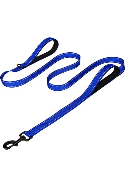 Choice L DEEP BLUE Heavy Duty Double Handle Dog Leash with Reflective Strips for Night Safety - Ideal for L