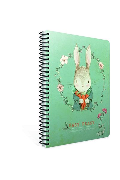 Gıpta Easy Notes Caiet de note cu copertă din carton spiralat A4 100yp. În dungi