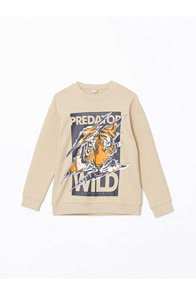 LC Waikiki LCW Bisiklet Yaka Erkek Çocuk Tişört