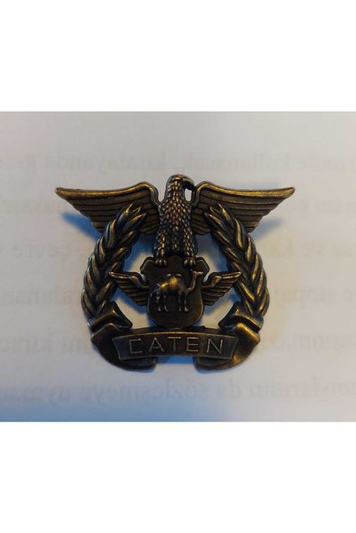 kho military design 3.5x3 cm. Bronz US Donanma Kartalı Brove