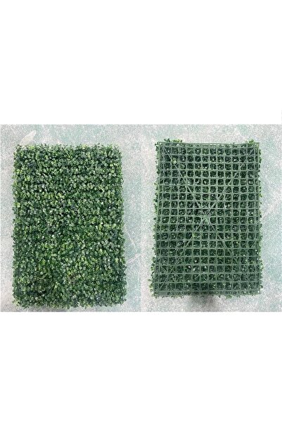 co arma 60*40cm Artificial Grass Wall Set of 5 Pieces for Garden, Home and Pool Decoration