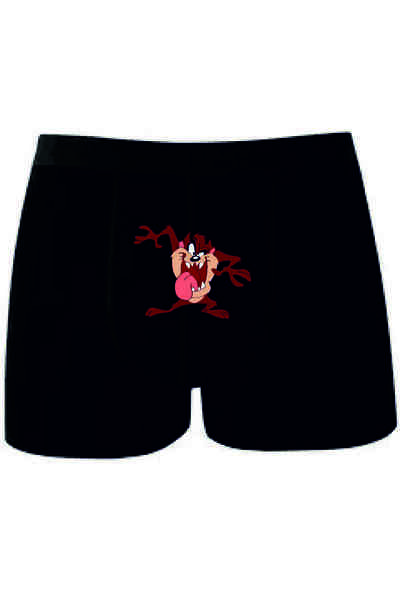 BoxerMasters TAZMANYA BASKILI BOXER