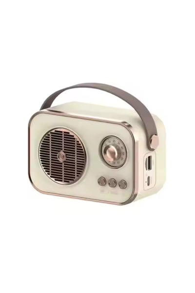 Platoon PL-4641 Bluetooth, SD, USB Girişli Bluetooth Destekli Type-C Speaker