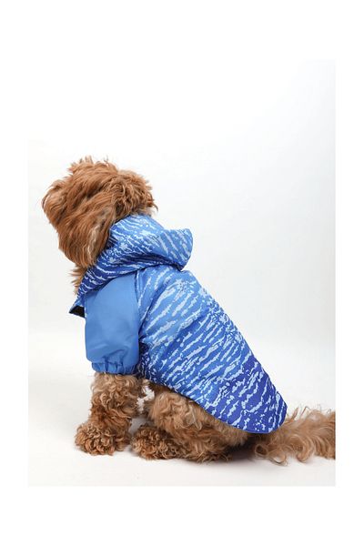 JesPawty Blue, Navy Blue Patterned Dog Raincoat
