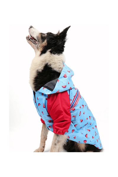 JesPawty Blue Patterned Dog Raincoat