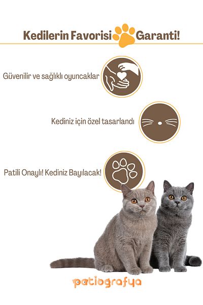 patiografya Matatabi Feather Stick & Broom