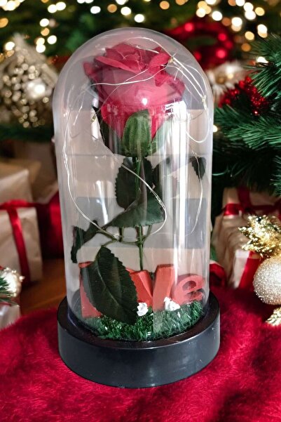 ÇEÇEN HOME وردة حمراء في وعاء مع أضواء LED هدية زهرة صناعية 3 وظائف للمناسبات...