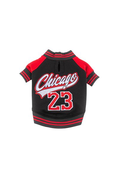 JesPawty Black College Jacket Dog Outfit