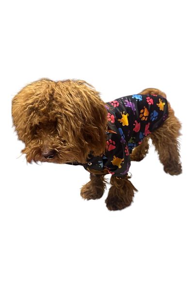 GedyCo Colorful Paws Small Breed Dog Raincoat with Fleece