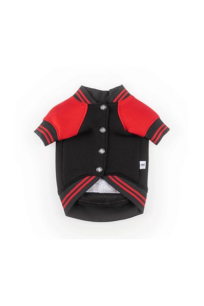 JesPawty Black College Jacket Dog Outfit