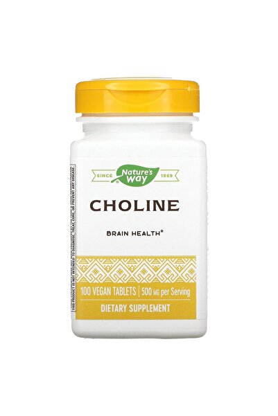 Nature's Way NATURES WAY 500Mg 100 Tb Choline, 100 CT