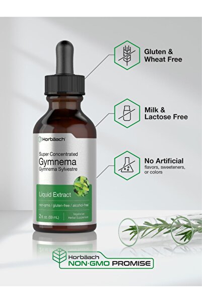 Horbaach Gymnema Sylvestre Liquid Extract | 2 fl oz | Alcohol-Free, Non-GMO, Gluten-Free Tincture