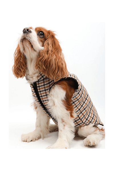 JesPawty Brown Dog Lumberjack Vest