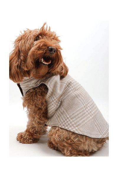 JesPawty Cream Dog Lumberjack Vest