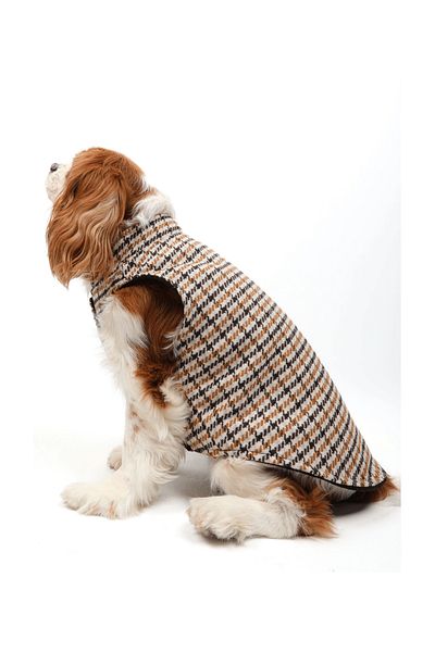 JesPawty Brown Dog Lumberjack Vest