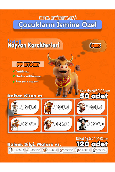 AGG Reklam Pp Yırtılmaz Etiket Inekler Isme Özel Hobi - Okul Seti 170 Adet