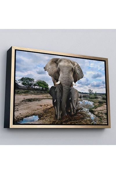 Harita Sepeti Pictură decorativă pe pânză Elefant și puii cu cadru auriu