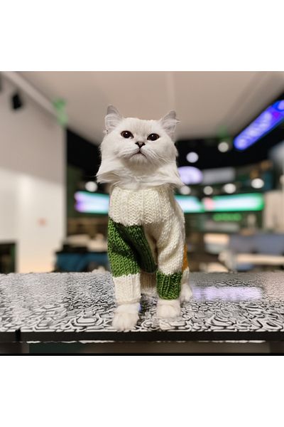 Lady Fify Cream Checkers Sweater for Cat Dog