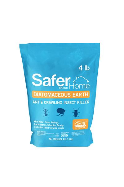 safer الصفحة الرئيسية دياتومي إرث عضوي 4 رطل OMRI - مبيد حشرات للنمل والصراصير والبق والبراغيث SH51703