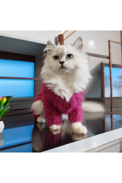 Lady Fify Yumoş Hair Braided Jumpsuit for Cat Dog