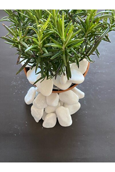 Erdönmez Peyzaj - Beyaz Kristal Dolomit Taş (4-6 CM. BOY / 5 KG.) Dekoratif Ç...