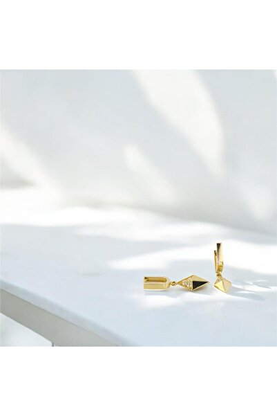 Altınkaynak 14 Ayar Altın Tasarım Küpe  -  0188093