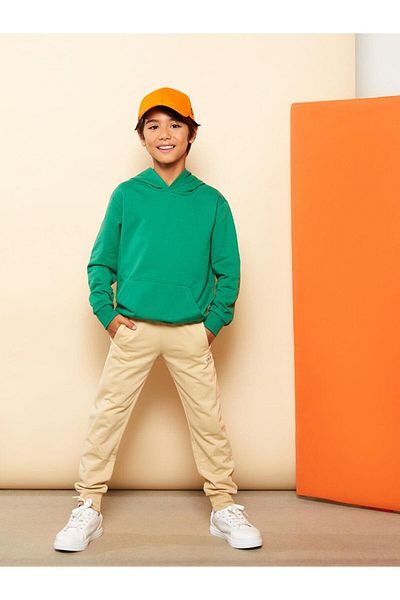 LC Waikiki Hooded Basic Long Sleeve Boys Sweatshirt (W2)