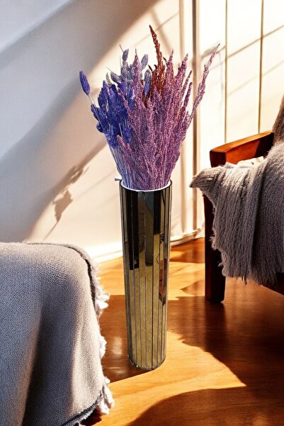 extrasepetim Βραχυκύτερος τεχνικός χειρισμός