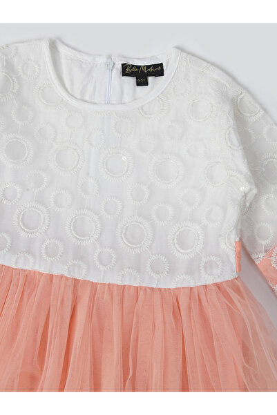 Bella Moda By Styli Floral Applique Mesh Insert Dress