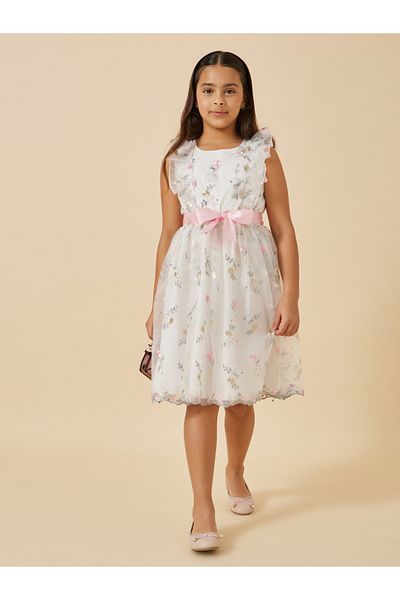 Styli Embroidered Ruffle Detail Mesh Dress with Belt