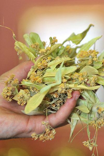 Kuzeylina Linden 1 kg (1000 Gr) - (Natural Dried, Sifted, No Additives)