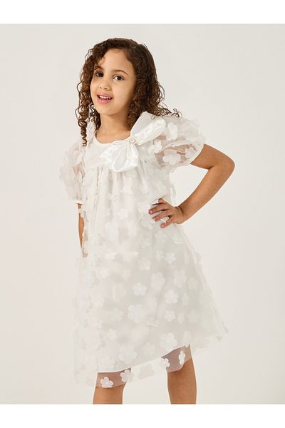 Styli Flower Applique Mesh Insert Dress