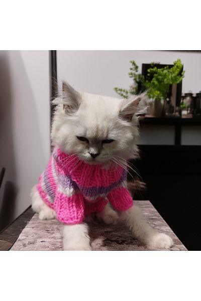 Lady Fify Pink Striped Teddy Bear Sweater for Cat Dog