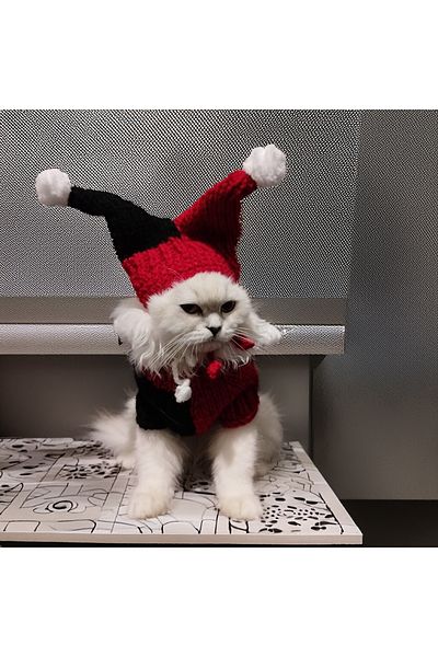 Lady Fify Red Black Buffoon Costume for Cat Dog
