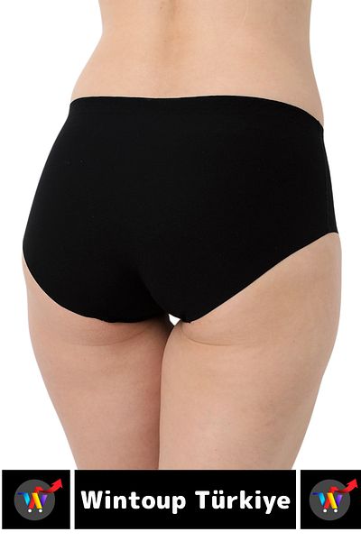 Wintoup Special Production Traceless Non-Slip Firming Shaping Laser Cut Bato Panties Corset