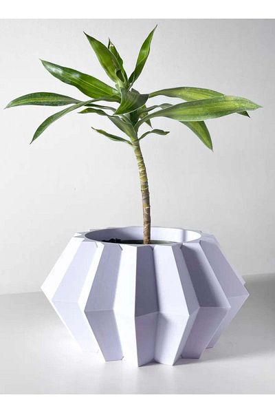 3D Brothers Exceptional Jun Planter   Elevated Design Solution with Robust Stand and Drainage Tray for