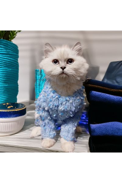 Lady Fify Blue Jumpsuit with Beads for Cat Dog