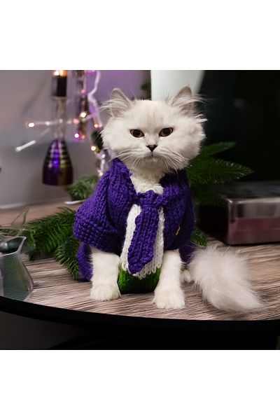 Lady Fify Purple Joker Costume for Cat Dog