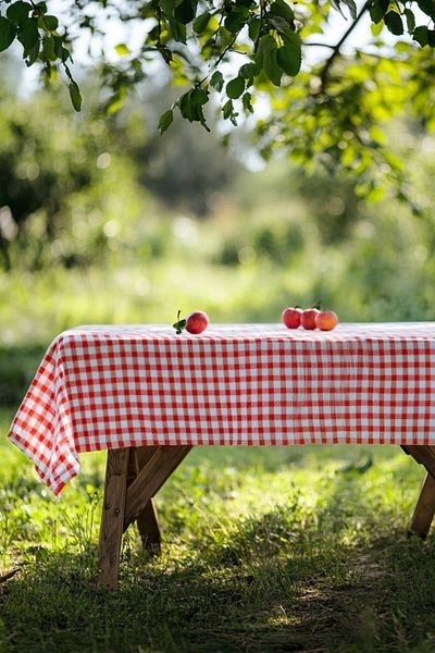 PARİS HOME Checkered Tablecloth Picnic Cloth Table Cloth Multi-Purpose Table Cloth