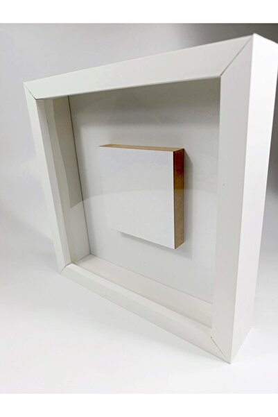 FY 25X25 Photo Gift 10X10 Photo Sectioned Memory Frame Rose Box Frame Flower Box
