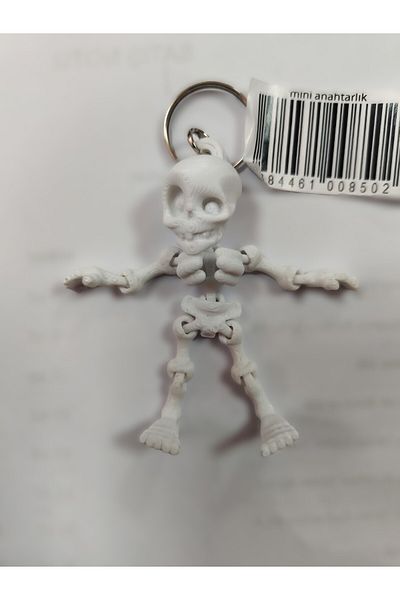 pialbatro Skeleton Keychain
